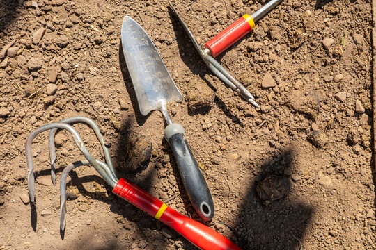 Garden tools on soil ready for planting and cultivation