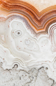 Laguna Lace Agate, closeup