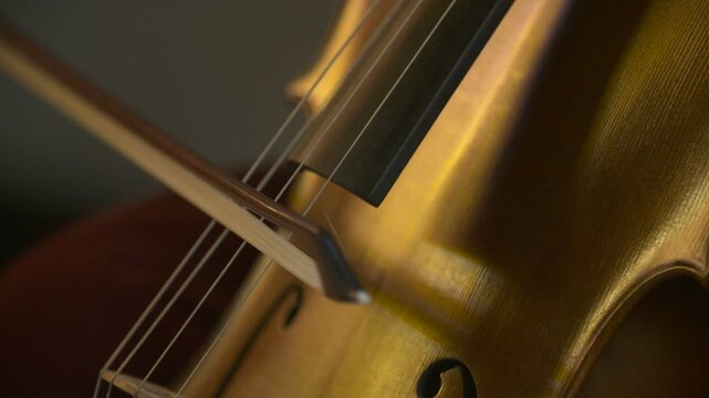 Close-up of a polished string instrument body in warm light
