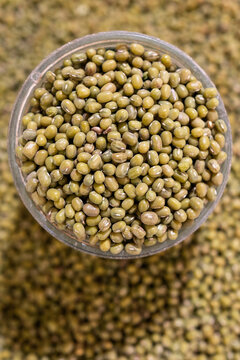 Close-up of mung bean in glass bowl, Uzbek food