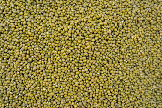 Close-up texture of raw mung bean pile background