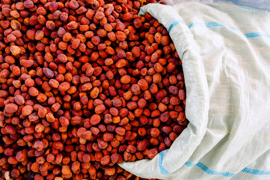 Dried apricot kernels in sack at Uzbekistan market stall