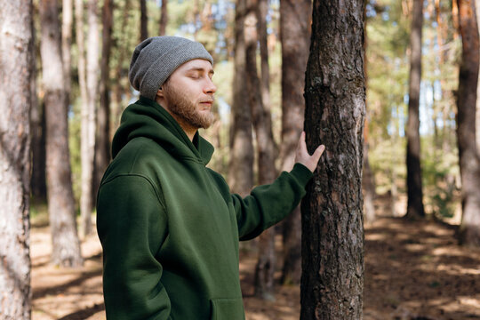 Mindful man touching tree trunk in quiet pine forest