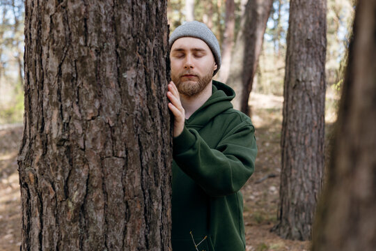 Mindful man touching pine tree in a quiet forest scene