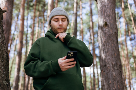 Man using smartphone in pine forest, outdoor nature scene