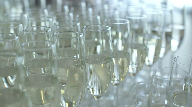Rows of filled champagne flutes at a formal celebration