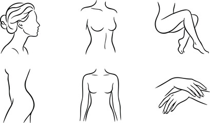 Elegant minimalist line art drawings of female body parts and portrait. © Noor Miah