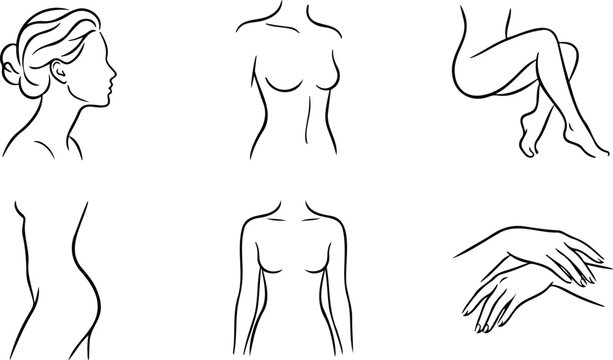 Elegant minimalist line art drawings of female body parts and portrait.
