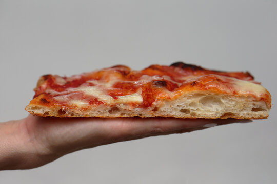 Woman's hand holding a fluffy slice of thick Roman-style pan pizza Margherita on a neutral background