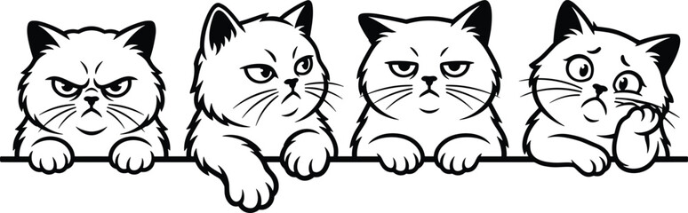 Four cats with different facial expressions peeking over a ledge animals feline faces © Sojib Patuary