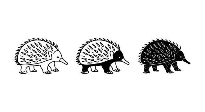 Cute Echidna Vector Illustrations Set, Spiky Mammal Icons, Australian Wildlife Art, Simple Line Drawings