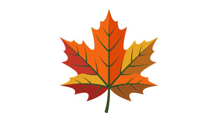 Obraz premium Vibrant Maple Leaf Fall Colors Isolated White Background