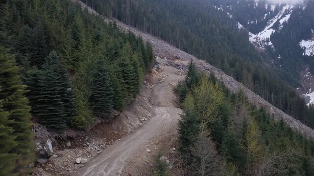 Aerial View of a Winding Dirt Logging Road in a British Columbia Mountain Forest