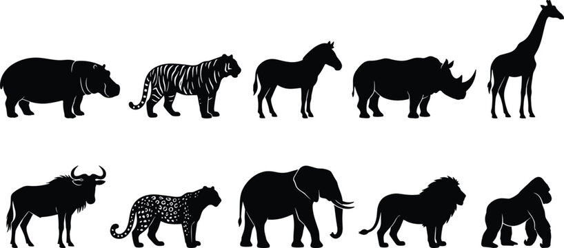 African safari and wild animal silhouettes set with elephant lion giraffe tiger rhinoceros zebra hippopotamus and gorilla icons isolated on white background