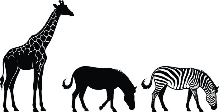 African safari animal silhouettes set with patterned giraffe and grazing zebras vector illustrations isolated on white background