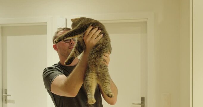 Pet owner carefully examining a cat for ticks, fleas, or other parasites. Concept of pet care, animal health, veterinary inspection, parasite prevention, and responsible pet ownership.