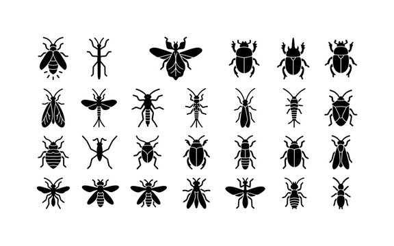 Tiny Creature Marks. Solid glyph icon set of insect study specimens: firefly, stick insect, leaf insect, dung beetle, rhinoceros beetle, scarab beetle, lacewing, mayfly, stonefly, caddisfly,