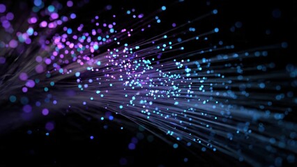 Fototapeta premium Fiber Optic Light Burst