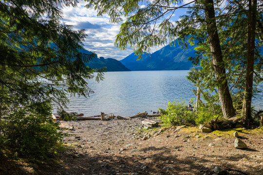 Tranquil Forest Shore Framing Harrison Lake With Mountains and Blue Sky in BC, Canada