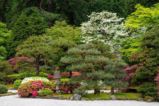 Stone Lantern Among Spring Blooms in the Sand and Stone Garden at the Portland Japanese Garden