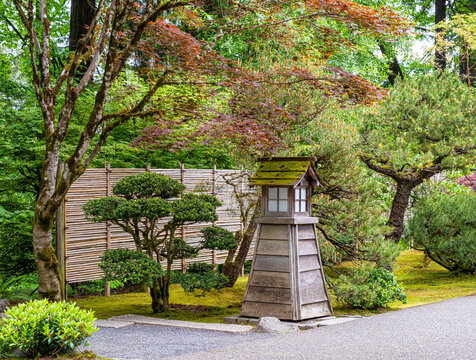 Wooden Garden Lantern and Cloud-Pruned Pine at the Portland Japanese Garden