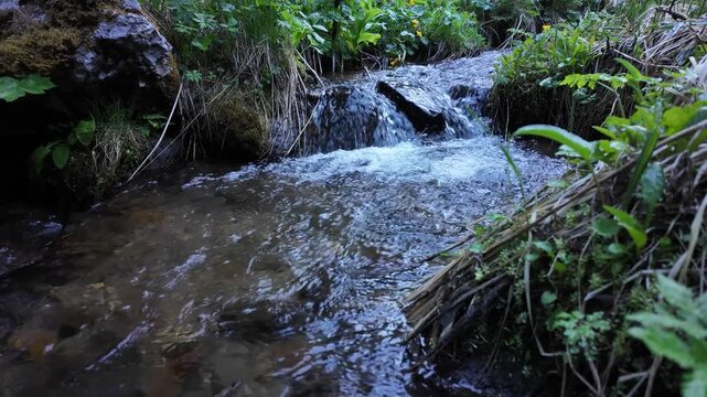 
Relaxing alpine stream cascading over mossy rocks through lush green forest, ASMR nature water sounds for sleep and meditation ambient video Davos Switzerland