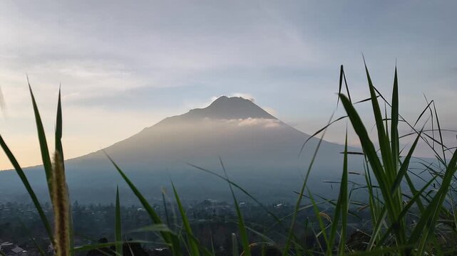Majestic Mount Merapi volcano at sunrise, framed by green wild grass in the foreground with a soft cloudy sky. Beautiful Indonesian landscape.