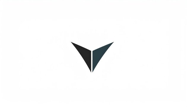 Abstract black geometric V-shaped wing logo.
