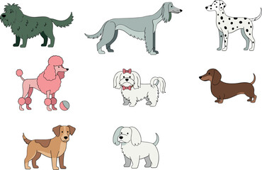 Obraz premium Dog Breeds Collection with Cute Cartoon Puppies Different Domestic Dogs Set for Pet Care Animal Illustration and Veterinary DesignDog Breeds Collection with Cu