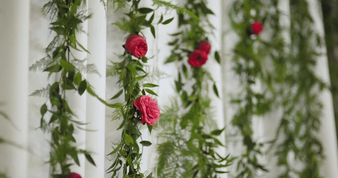 Hanging rose garlands on a bright white background