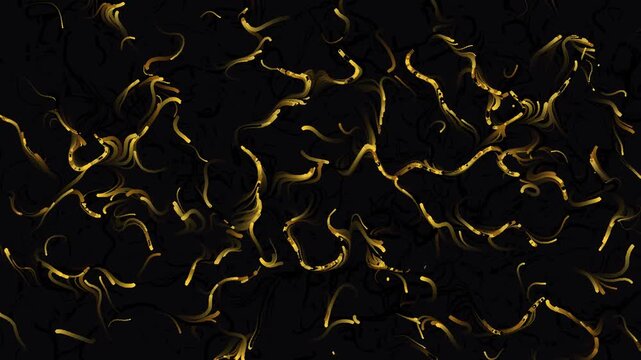 Golden fluid lines abstract motion on dark background, dynamic animated liquid gold texture, luxurious elegant flowing particles, seamless loop video background.