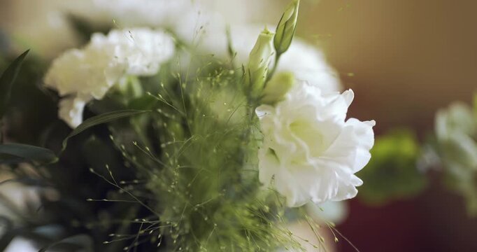 Soft White Flowers in Gentle Close-Up