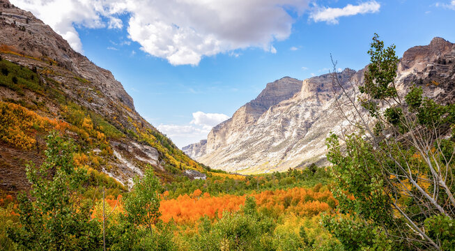 Autumn landscape in Lamoille Canyon, Nevada
