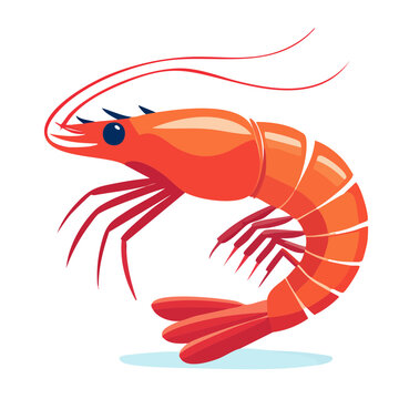 Flat design illustration of a red shrimp