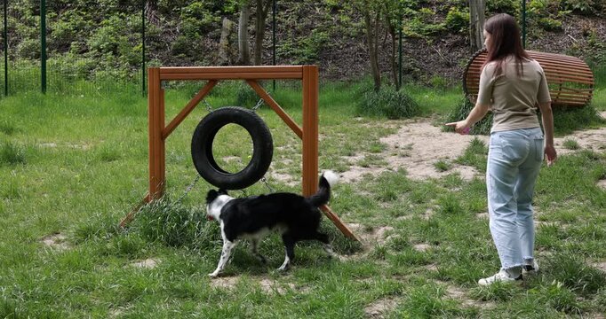 Woman training her dog on agility obstacles in park
