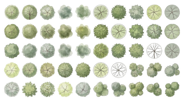 Diverse collection of top-down watercolor style tree and plant graphics for architectural CAD software, enhancing landscape designs and urban planning projects