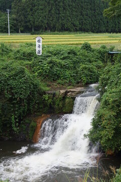 平泉の風景　姫待滝
