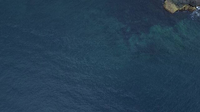 NL260024_Bauline_Rugged - Coastline_Lateral