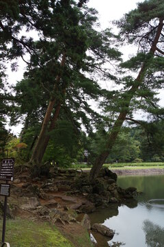平泉の風景　毛越寺庭園（築山）