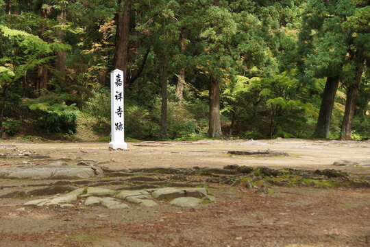 平泉の風景　嘉祥寺跡（毛越寺）