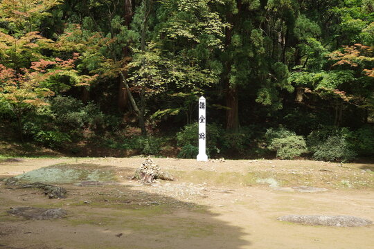 平泉の風景　毛越寺講堂跡