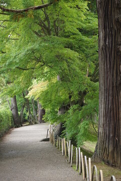 平泉の風景　毛越寺庭園