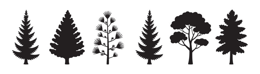 Collection of various conifer and deciduous tree silhouettes for garden and park design on background. © Labib