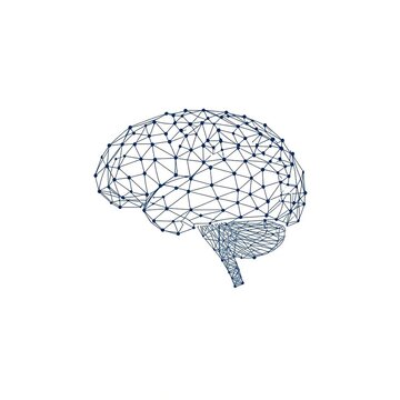 A detailed illustration of a human brain made of interconnected lines and nodes.