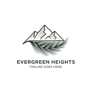 Clean and minimalist logo combining majestic mountain peaks with an evergreen pine branch for outdoor lifestyle and hospitality brands.