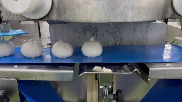 Automated steamed bun production line forming dough products during food manufacturing. Industrial food processing equipment supporting continuous production and quality consistency.