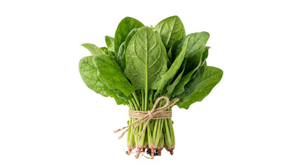 Naklejka premium Bunch of fresh green spinach leaves isolated on transparent background