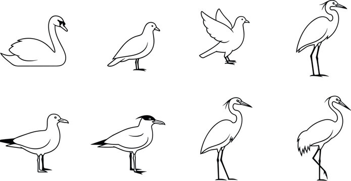 Minimal line bird illustration set featuring swan gull heron and egret in outline style for clean wildlife design projects