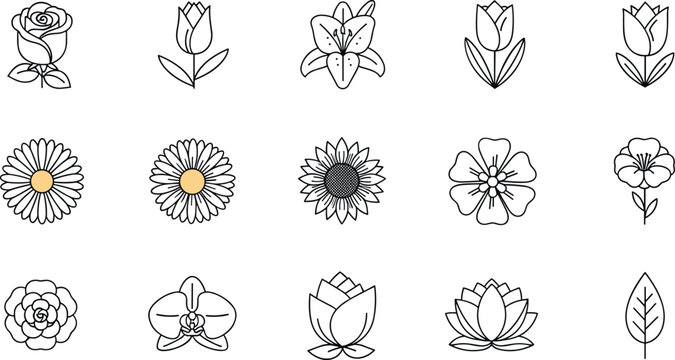 Minimal Flower Line Art Collection With Rose, Tulip, Daisy, Lotus, Orchid, and Leaf Vector Illustration Set