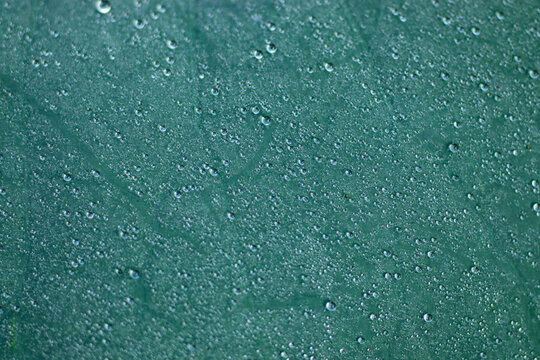 Abstract background texture of countless tiny water droplets condensed on a teal green surface